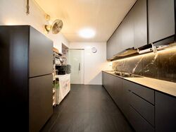 Blk 637 Veerasamy Road (Central Area), HDB 4 Rooms #631535801